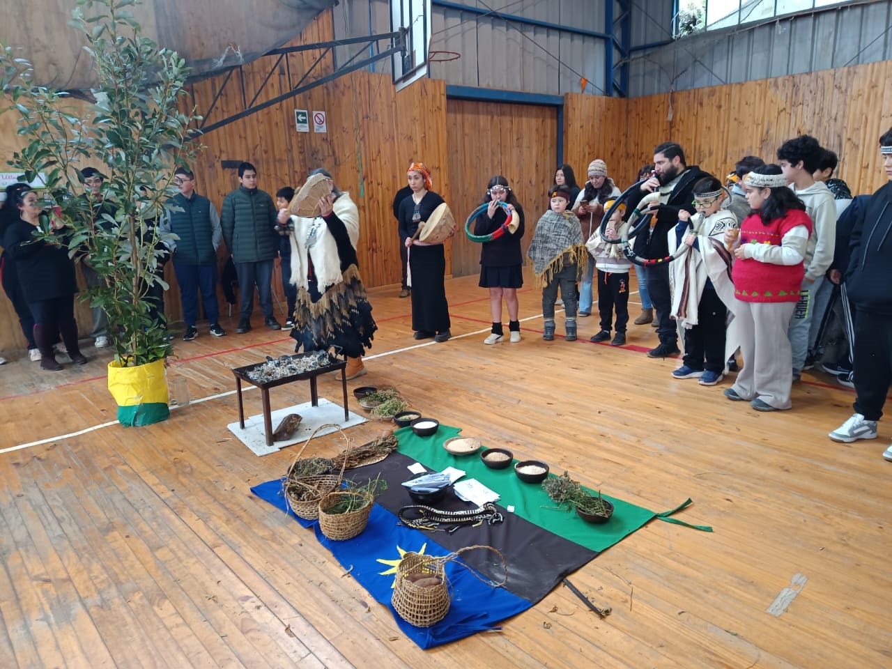 We Tripantu (Año Nuevo Mapuche)